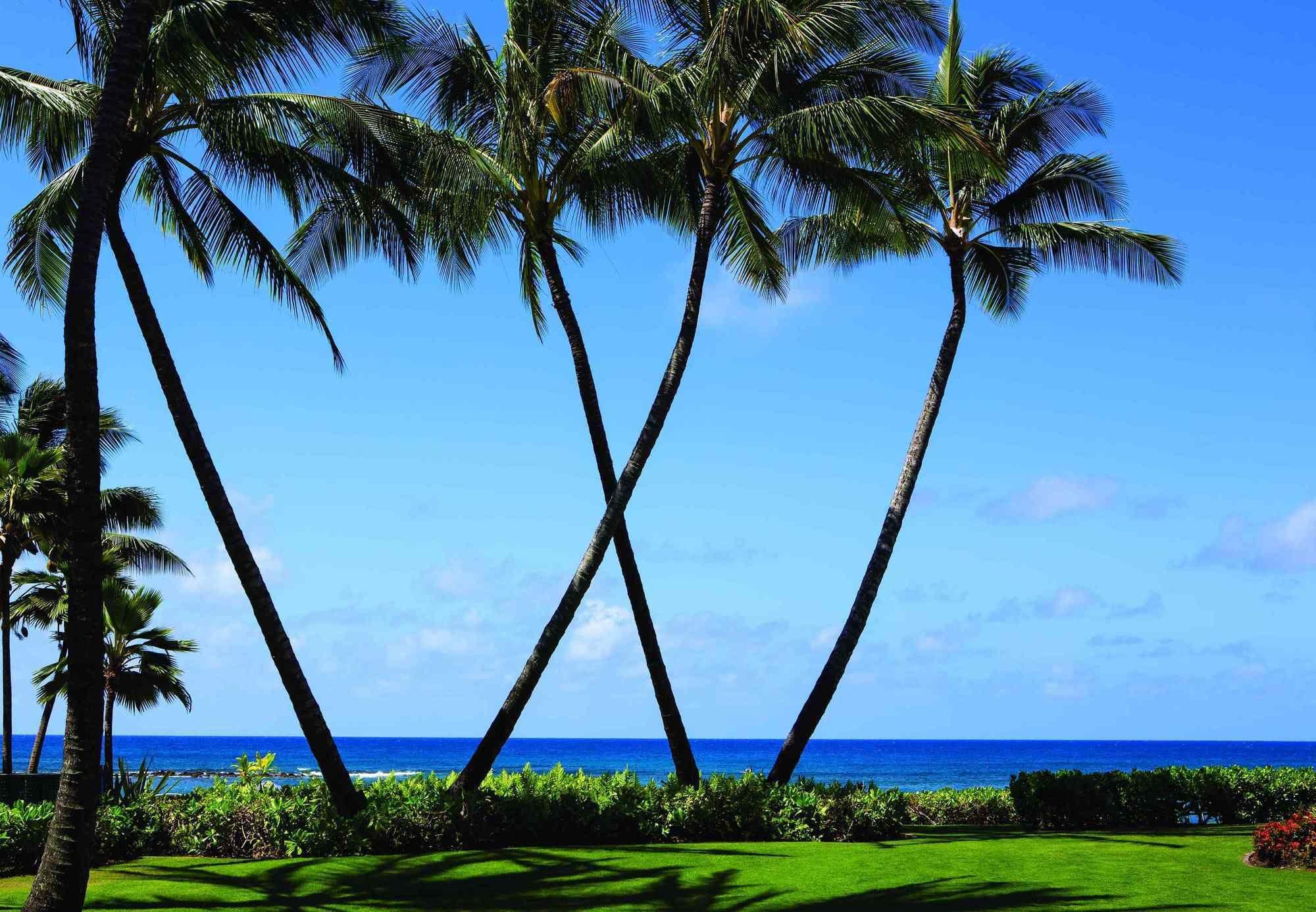 แมริออทส์ ไวโอไฮ บีช คลับ Hotel Koloa ภายนอก รูปภาพ